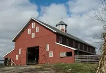 Why barns are traditionally painted red?