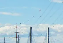 What are these spheres you can see on high voltage power lines?